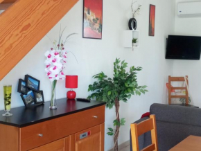 Villa climatisée A Nuciola Prunete Entre mer, montagne et piscine